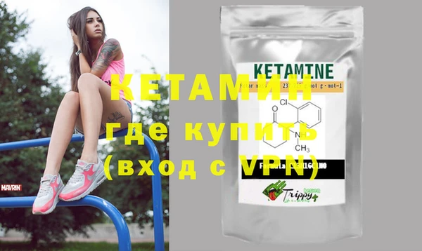 твердый Бородино