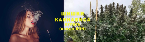 твердый Бородино