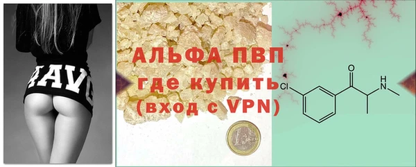 твердый Бородино
