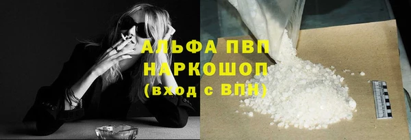 твердый Бородино