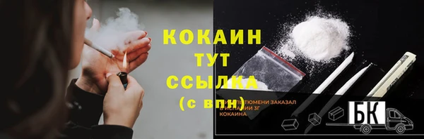 твердый Бородино