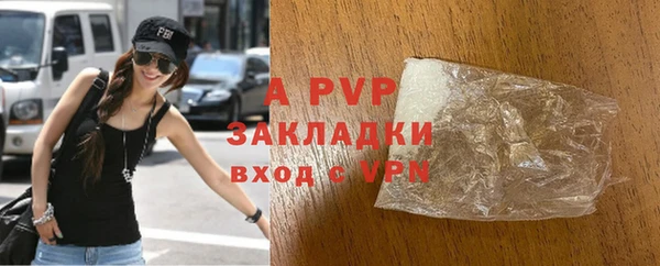 твердый Бородино