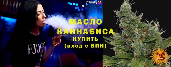 твердый Бородино